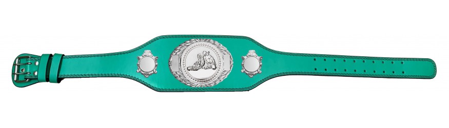 JIU JITSU CHAMPIONSHIP BELT-BUD295/S/JJS-4 COLOURS
